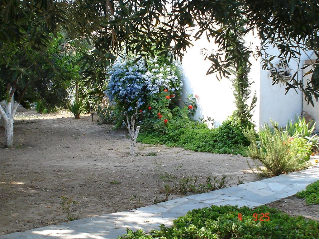 Villa Metaxa Spetses Town Extérieur photo