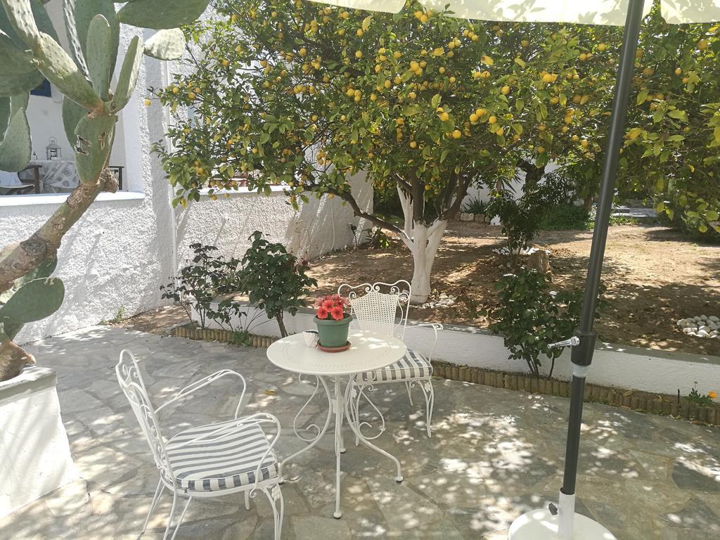 Villa Metaxa Spetses Town Extérieur photo
